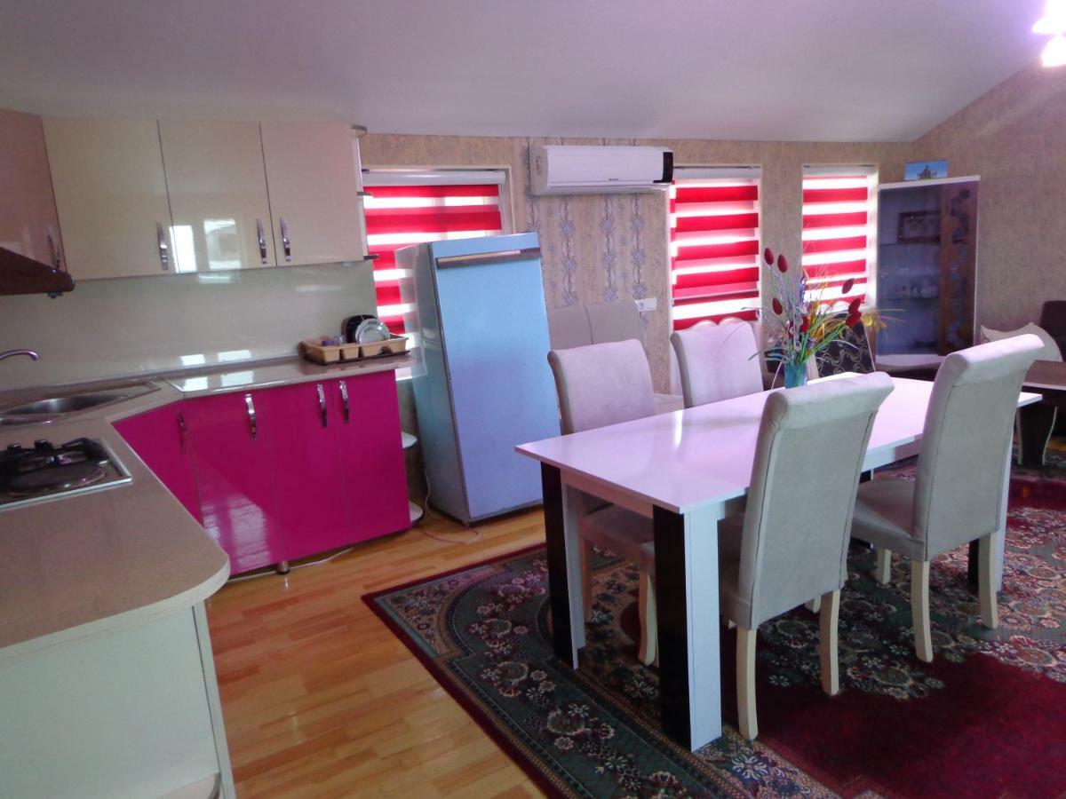 Şǝki Tubram S Ailəvi Qonaq Evi Bed & Breakfast エクステリア 写真